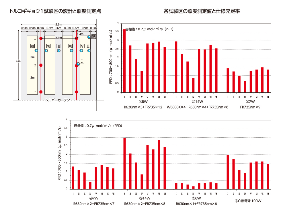 実証実験 試験の概要1
