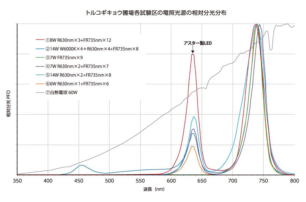 実証実験 試験の概要2